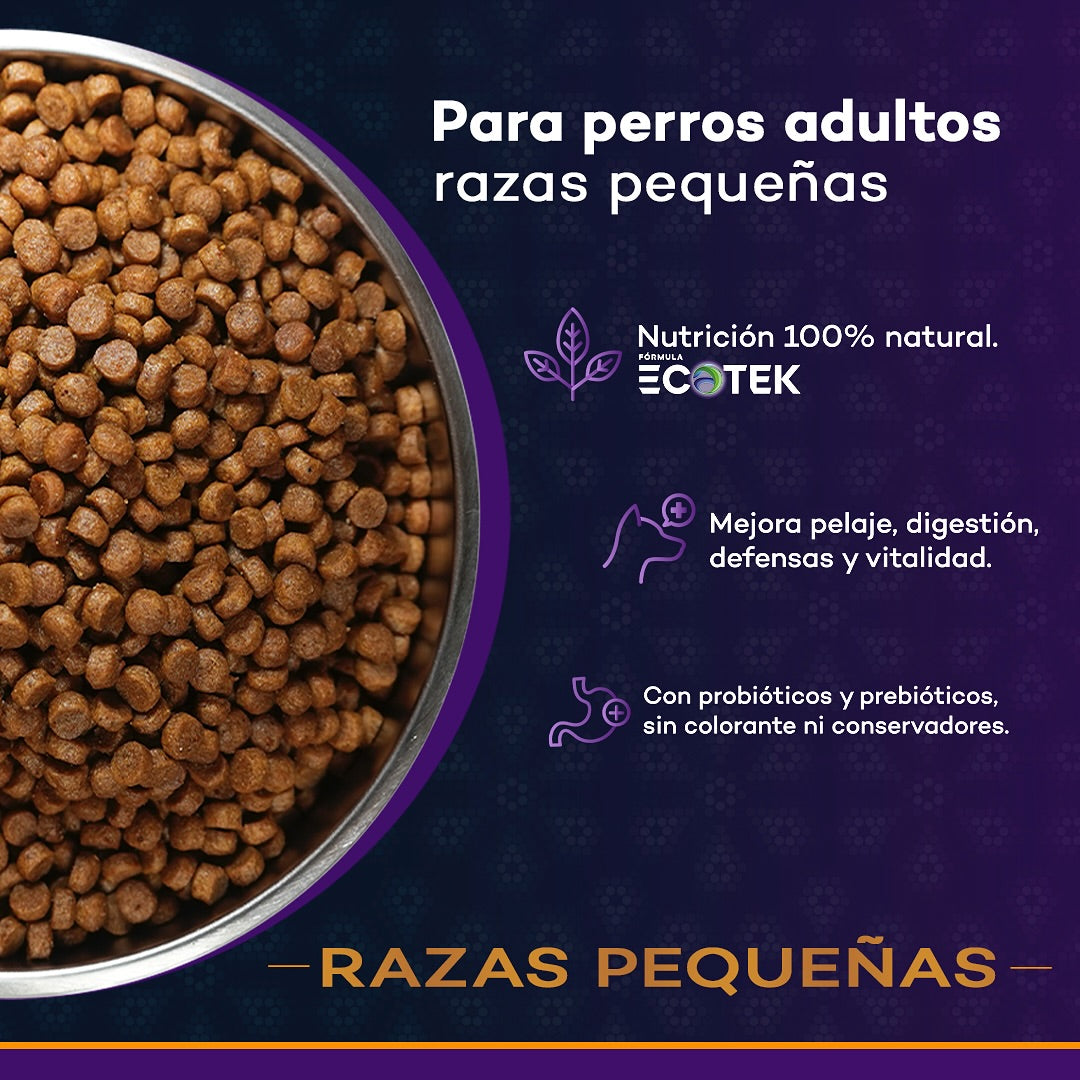 Kantek Razas Pequeñas