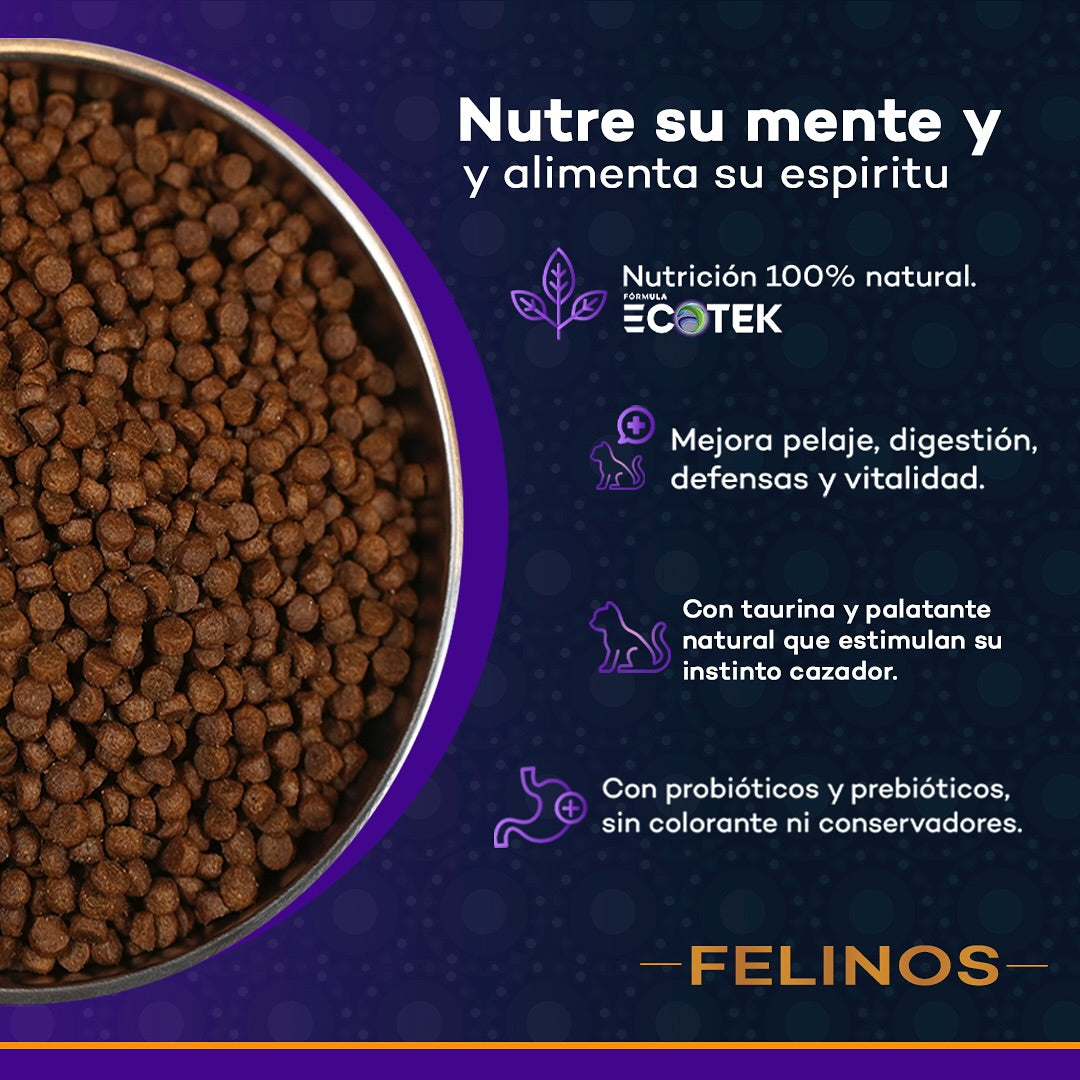 Kantek Felinos