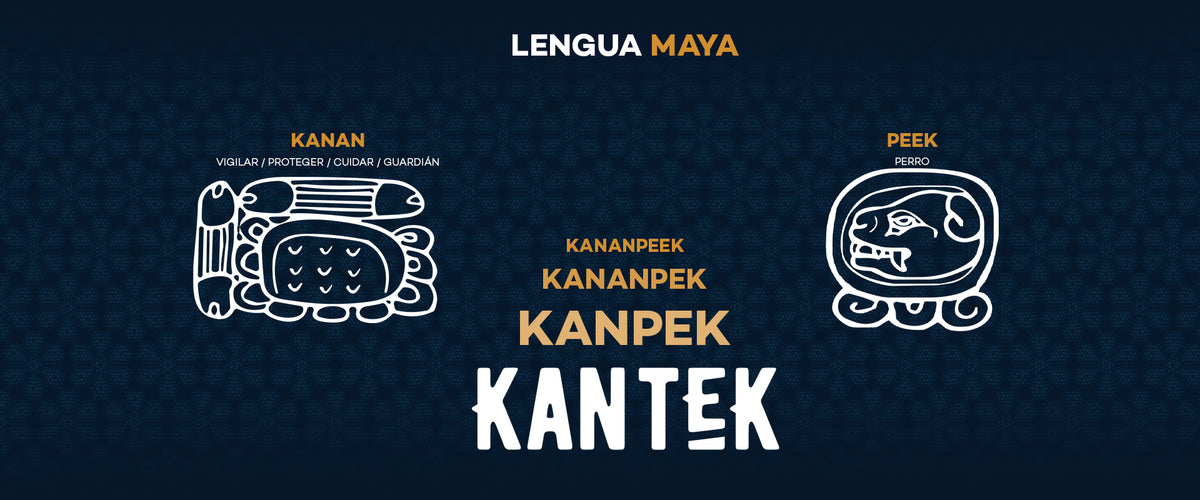 Nosotros – KANTEK